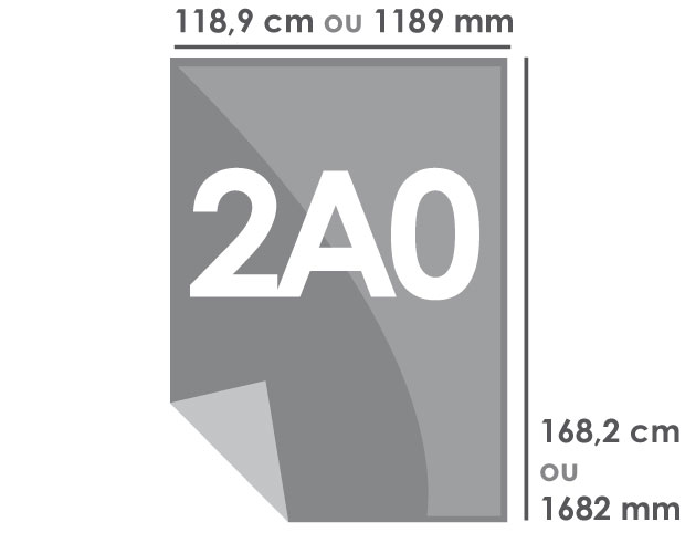 Format 2A0 : 1189 x 1682 mm