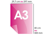 Format A3 : 297 x 420 mm